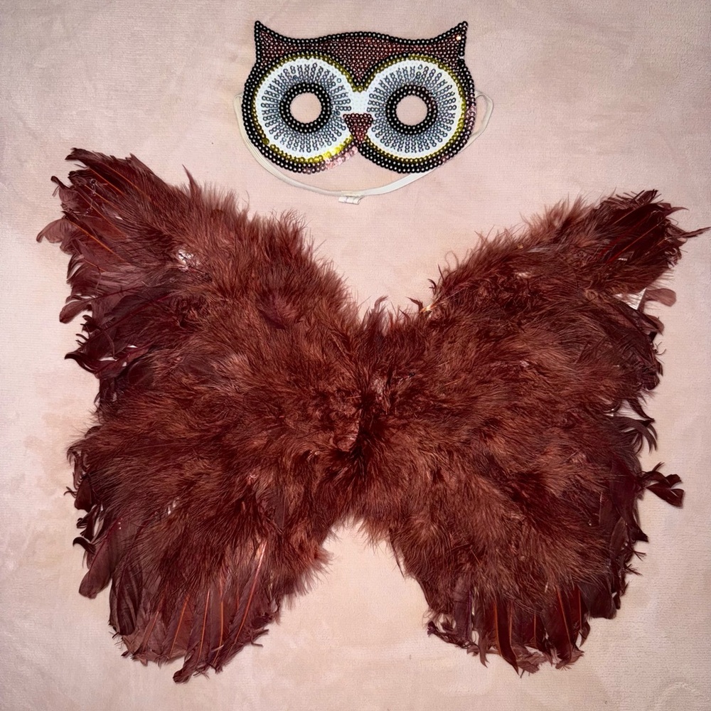 Owl 🦉 wings & face mask